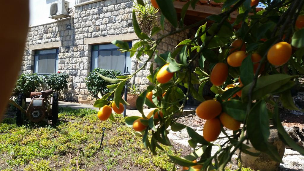 Shwartzimmer Rosh Pinna Εξωτερικό φωτογραφία